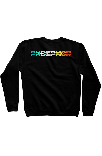 PHOSPHOR SWEATSHIRT
