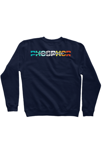 PHOSPHOR SWEATSHIRT
